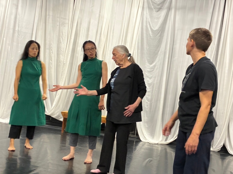 「一甲子的蛻化」－伊莉莎白・陶曼博士六十年舞蹈回顧與新作｜舞蹈生態系創意團隊｜國藝會補助成果檔案庫